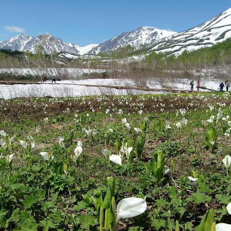 Anri Villa Hakuba Exterior photo